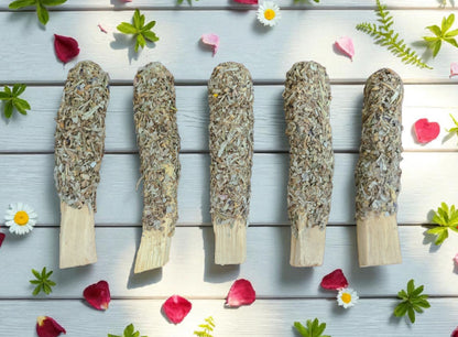 Palo Santo Sticks (Dipped & Rolled)