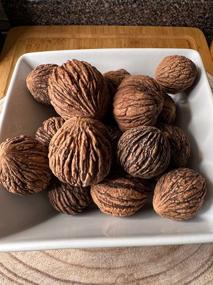 Black Walnuts